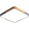 Светильник светодиодный потолочный JAZZWAY PPB SCANDIC-S 72W 3000-6500K GR/W IP20 5037397
